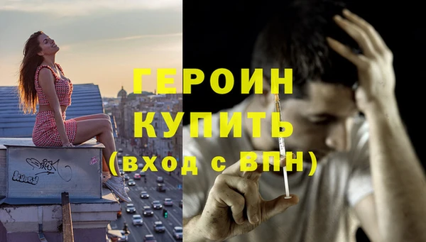 индика Елизово