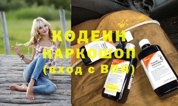 прущий лед Ельня