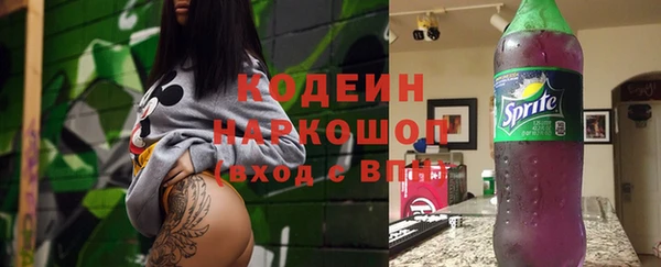 индика Елизово