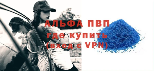 индика Елизово