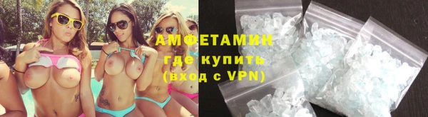 индика Елизово