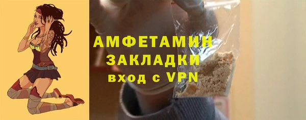 индика Елизово