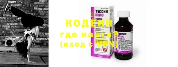 индика Елизово