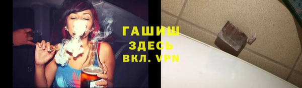 хмурый Инсар