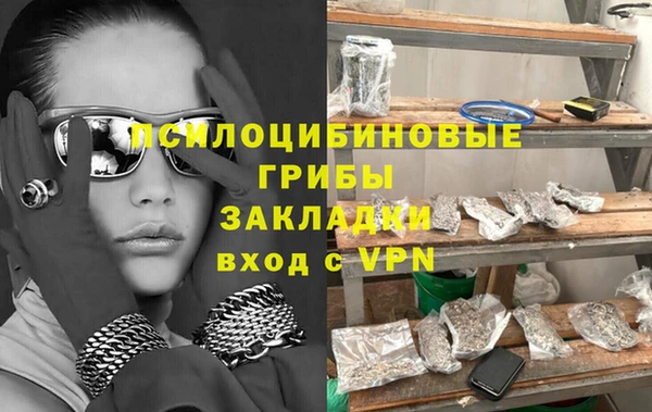прущий лед Ельня