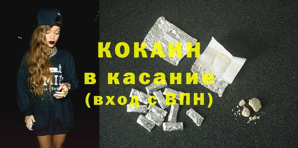 индика Елизово