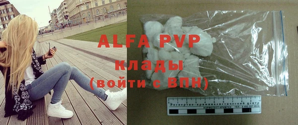 индика Елизово