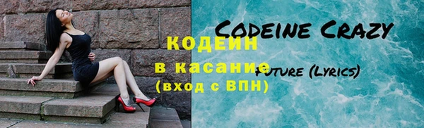 индика Елизово