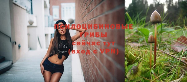 индика Елизово