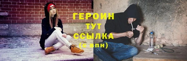 индика Елизово