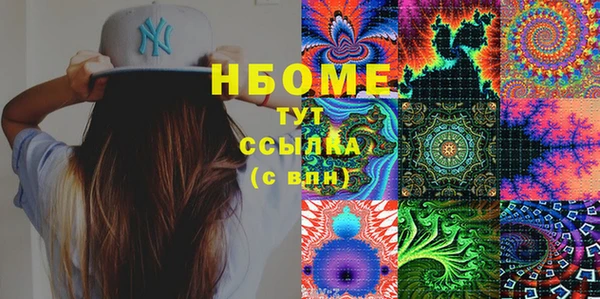 индика Елизово