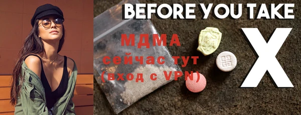 индика Елизово