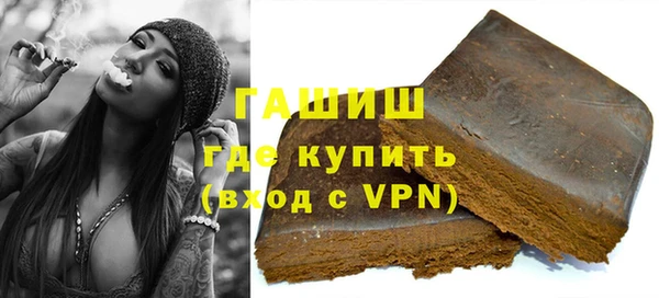 индика Елизово