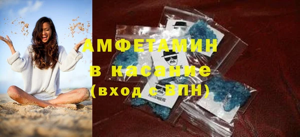 индика Елизово