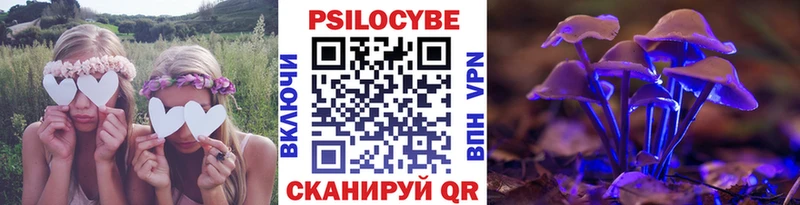 блэк спрут   Первоуральск  Псилоцибиновые грибы прущие грибы 