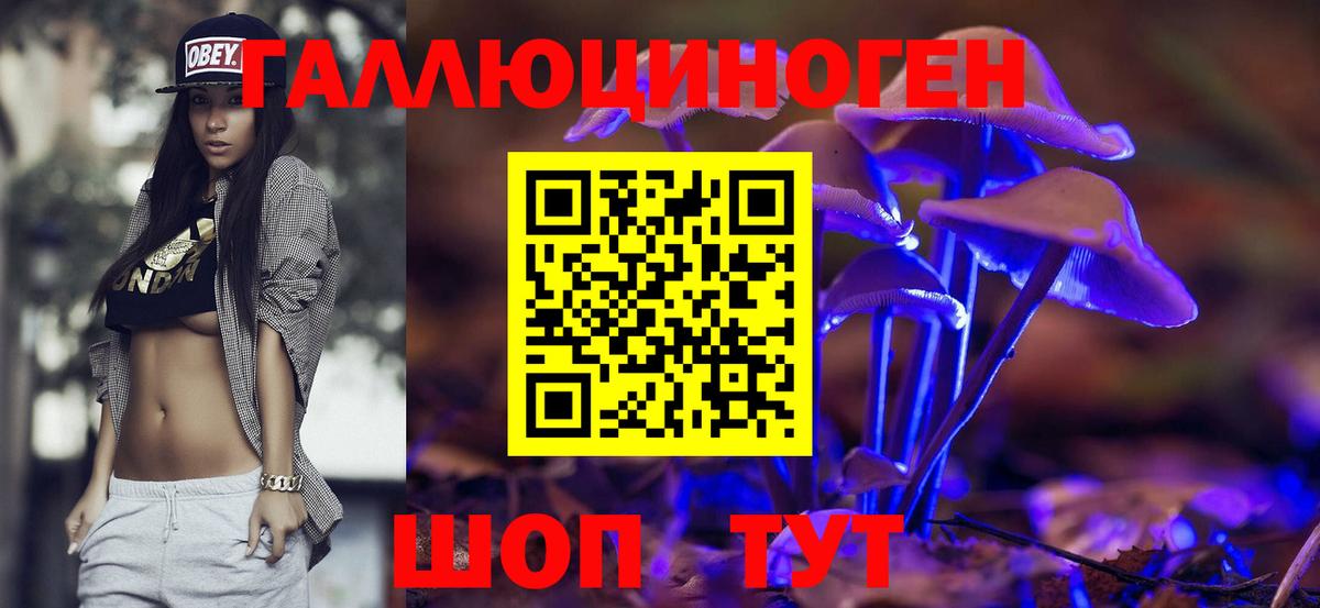 Первоуральск  Галлюциногенные грибы GOLDEN TEACHER  Псилоцибиновые грибы мицелий  Вход с VPN 